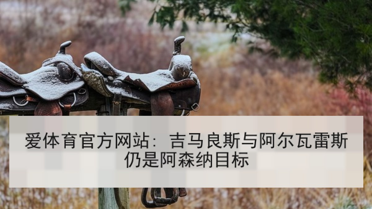 爱体育官方网站: 吉马良斯与阿尔瓦雷斯仍是阿森纳目标