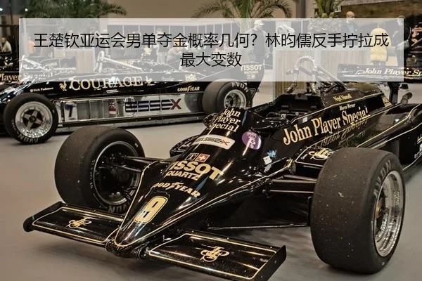 wang-chu-qin-ya-yun-hui-nan-dan-duo-jin-gai-lv-ji-he-lin-yun-ru-fan-shou-ning-la-cheng-zui-da-bian-shu-3-570.jpg